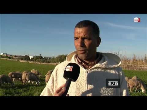 الاعتماد على الزراعة والاستغناء عن العلف الصناعي