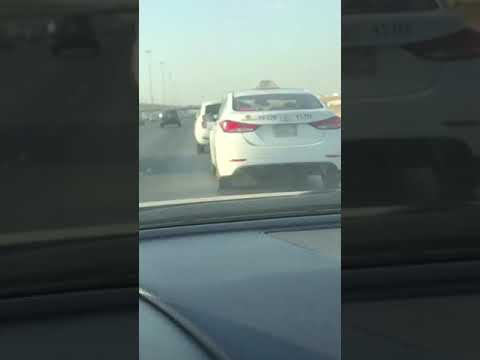 سائق ينقل بطة ودجاجة بطريقة غريبة تثير سخرية الإنترنت