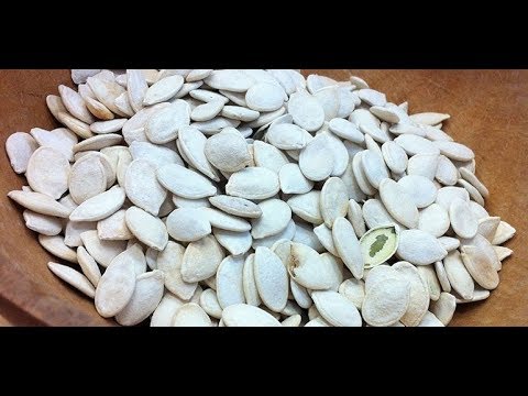 شاهد فوائد عظيمة للب الأبيض أهمها أنه يساعد على التخسيس