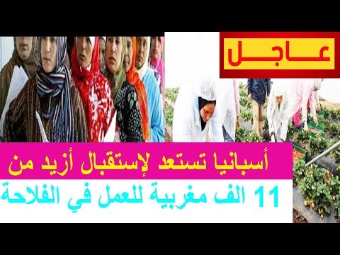 11 ألف عاملة مغربية ستغادر إلى إسبانيا