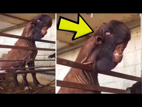 10 أخبار هى الأكثر إثارة للدهشة فى آذار 2018