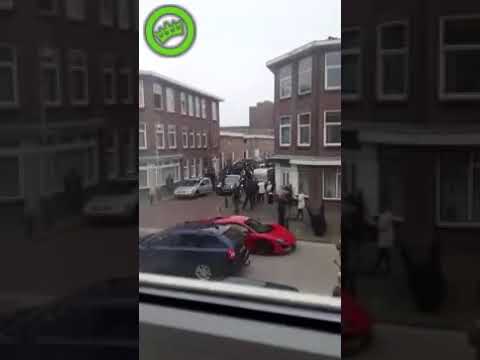 شاهد شجار بين عائلة العريس والعروس في هولندا