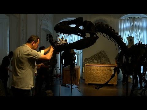 ديناصوران للبيع بمزاد علني في باريس الأسبوع المقبل