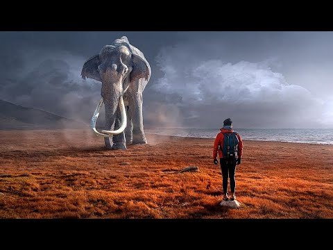 شاهد خبراء الحياة البرية في إسرائيل يطالبون بإدراج الماموث الصوفي ضمن لائحة الحيوانات المهددة