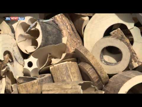 بالفيديو الإمارات تدمر 10 طن عاج مهرب