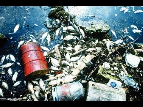 شاهد أسماك ملوثة بجرثومة خطيرة تعبر ميناء الدار البيضاء