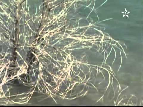 فيديو تعرف على أكبر بحيرة في المغرب