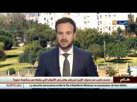 شاهد وزيرة التربية تؤكد عقد لقاءات ثنائية مع كل النقابات