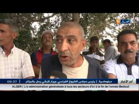 شاهد عمال الجزائرية للمياه يطالبون بأجرهم المتأخر في الطارف