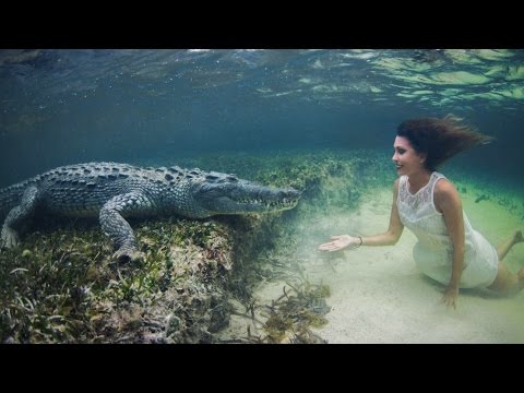 عارضة أزياء تسبح بجوار تمساح مفترس