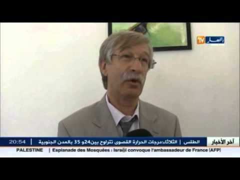 576 مطعم مدرسي تقدم 91 ألف وجبة يوميًا في سكيكدة