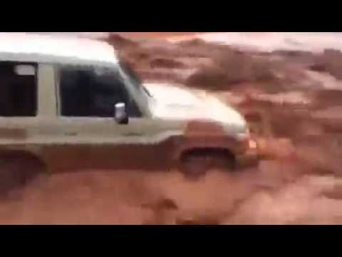 تهور يفشل فى تحدى مياه السيول في المملكة